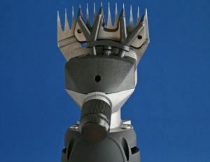306